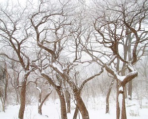 2IMG_6426_全景图1_调整大小