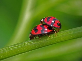 DSCF7610_