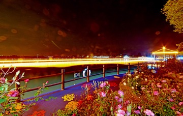 玫瑰之夜08