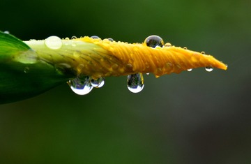 农家小院雨中情15