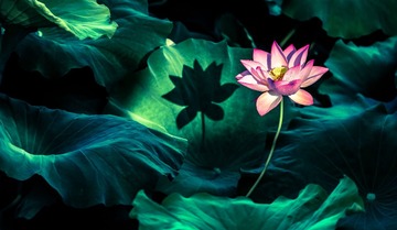 20130702-_69W9783.jpg