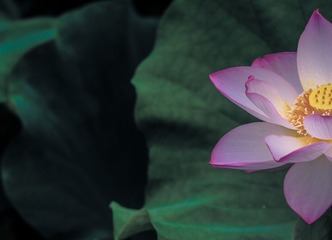 20130630-_69W9574.jpg