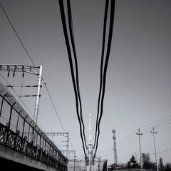 New folderIMG_3565