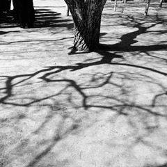 New folderIMG_3575