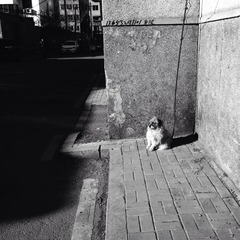 New folderIMG_3721