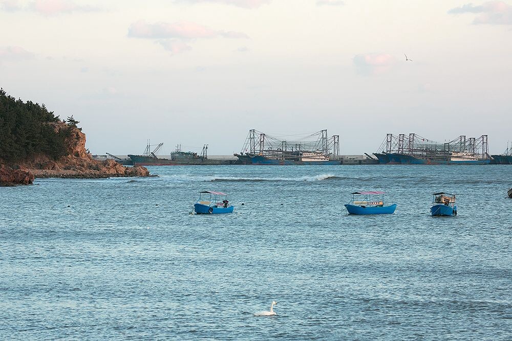 威海