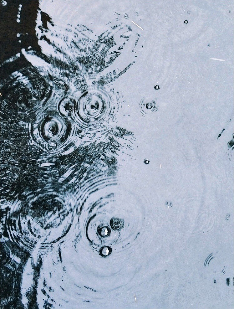 下雨天的水塘