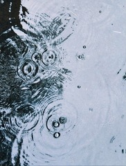 水塘