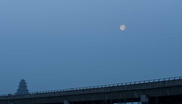 DSC_1593.jpg