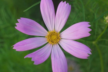 IMGP1720.jpg
