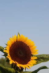 IMGP3751.jpg
