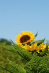 IMGP3792.jpg