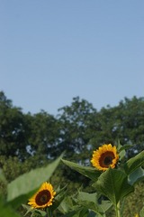 IMGP3841.jpg