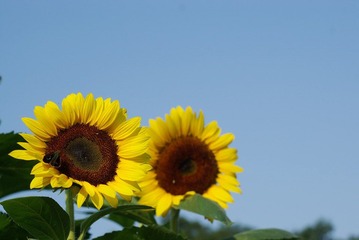 IMGP3861.jpg