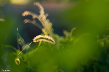 一次没有目的地的散步