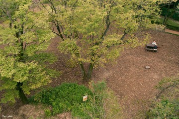 IMGP2590.jpg