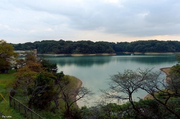 IMGP2727.jpg