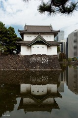 IMGP2938.jpg
