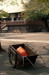 IMGP3078.jpg