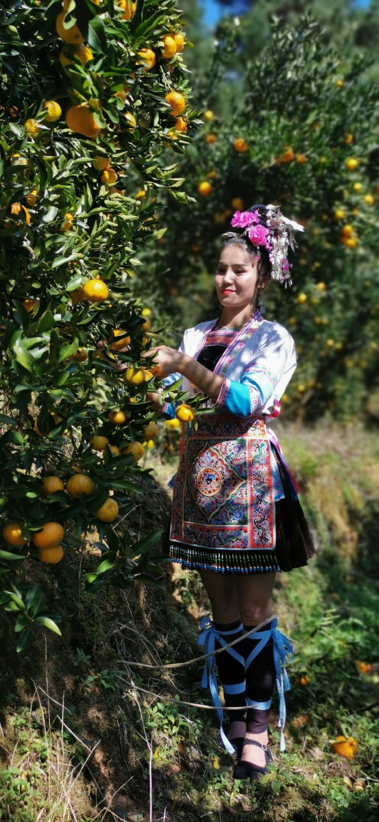 侗族阿妹为果农代言