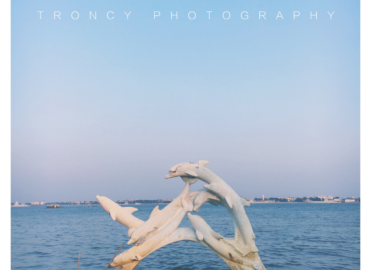 假亦真时真亦假