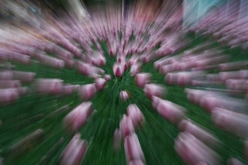 2180567