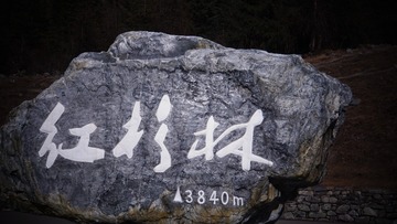 2178120