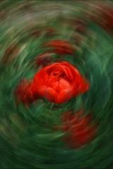 2180501