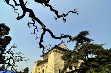 毕业江南行 123.JPG