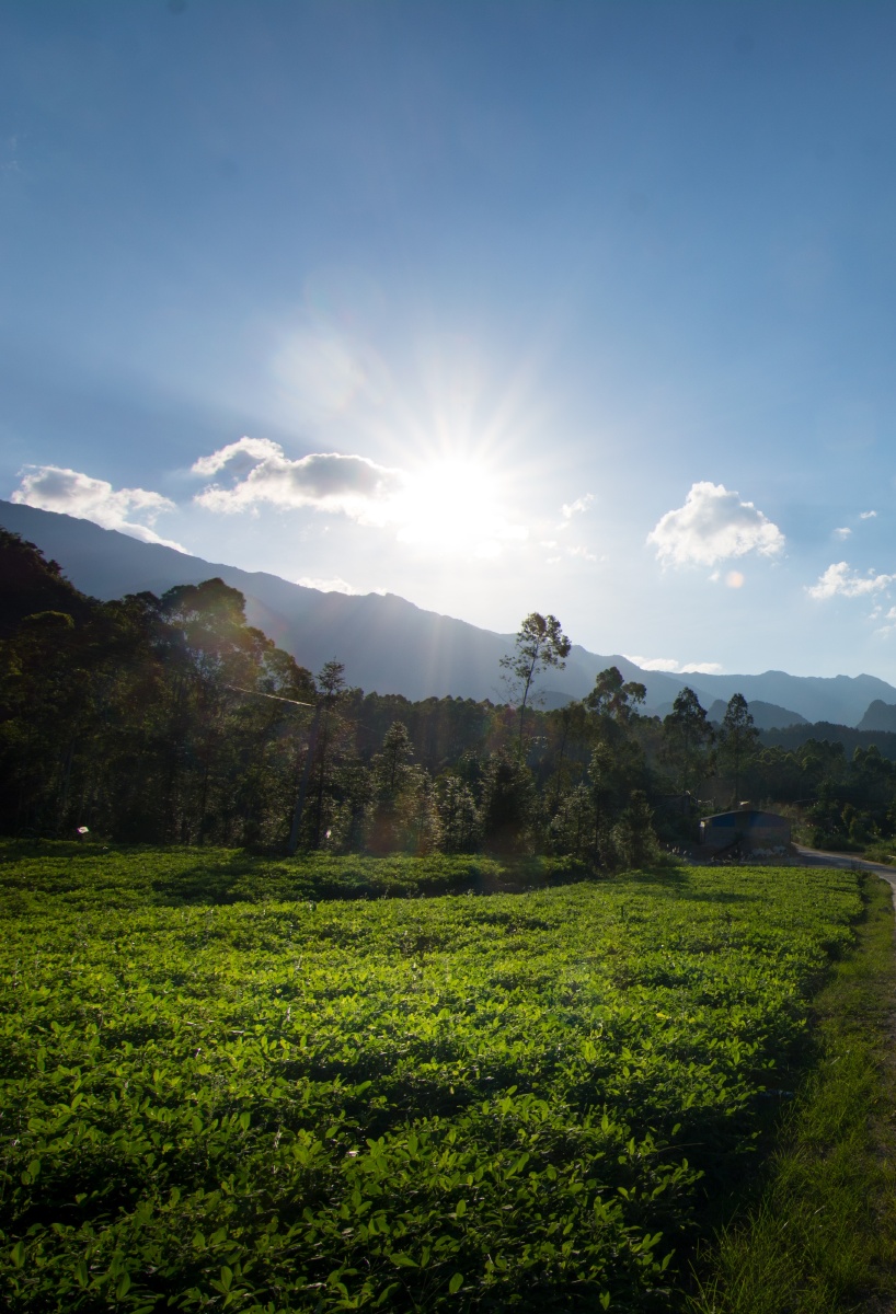 下午五点多的太阳依然如此炎热