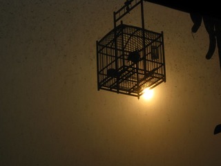 IMG_0098.JPG