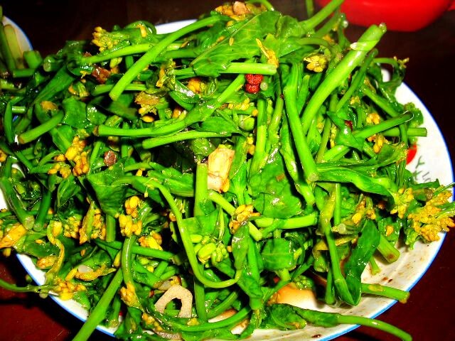 食之性也<br />
油菜尖，外婆种的，我去掐的。
