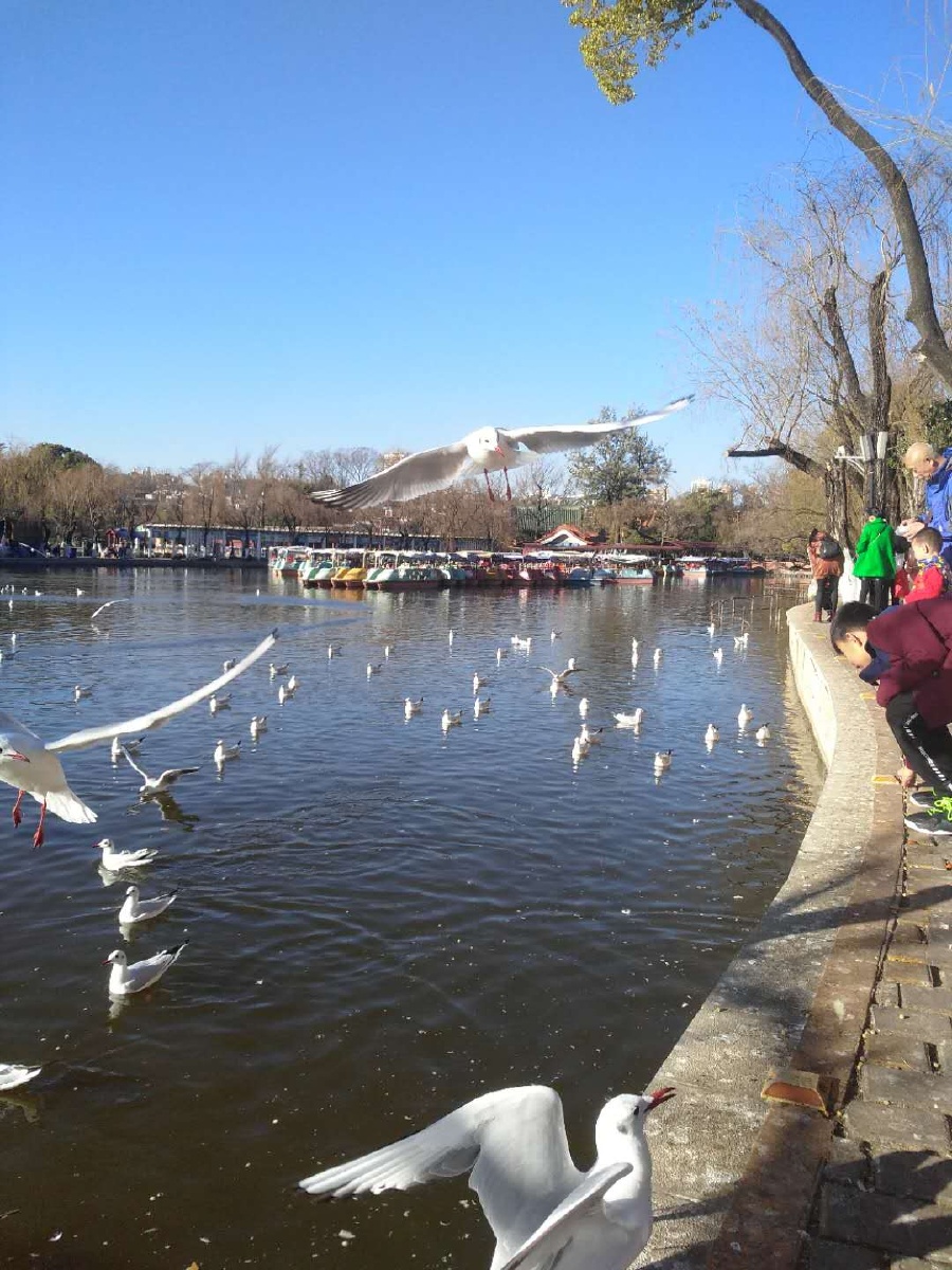 照片是外出带小孩游玩时抓拍的