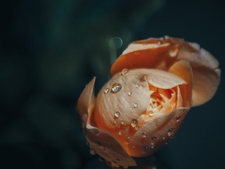 E4F84866-02B3-4E7E-8B01-10763A9437B5/L0/001