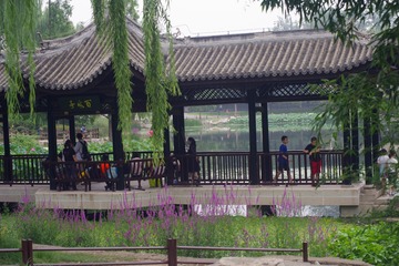 海岸2
