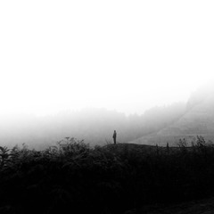 IMG_5694-编辑