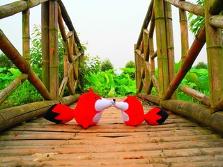 DSCN05.jpg