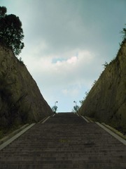 DSCN1356.jpg
