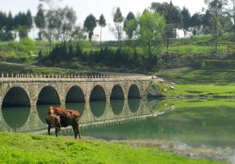DSCN2591.jpg
