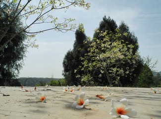 DSCN2645.jpg
