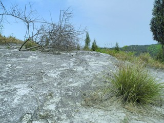 DSCN2732.jpg