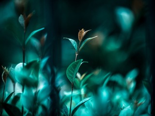 10467C49-C0EF-4B6E-9DDF-30A77F803B6B/L0/001