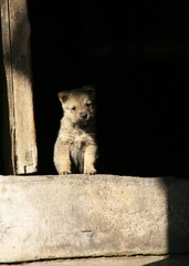 IMG_7586.JPG
