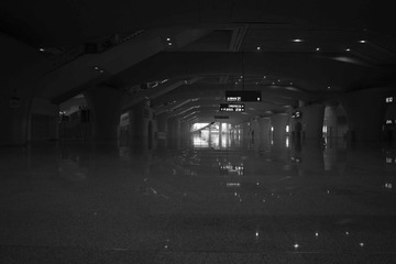 DSC08669.jpg