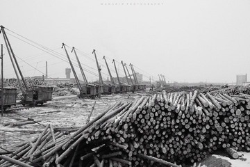 IMG_6594.jpg