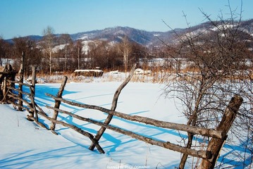 _DSC7344