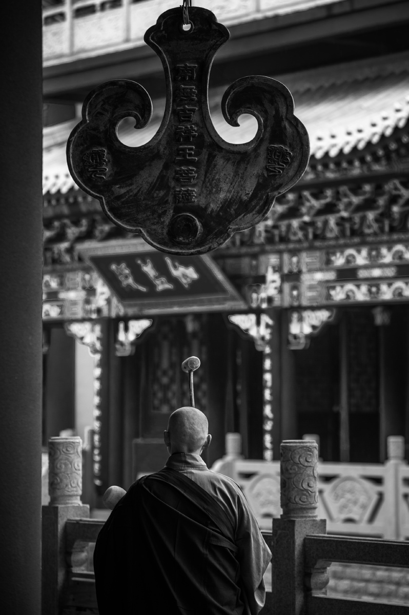 佛门清净地闹市自如天