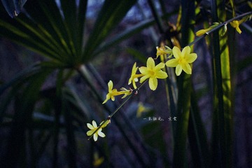 一米阳光.jpg