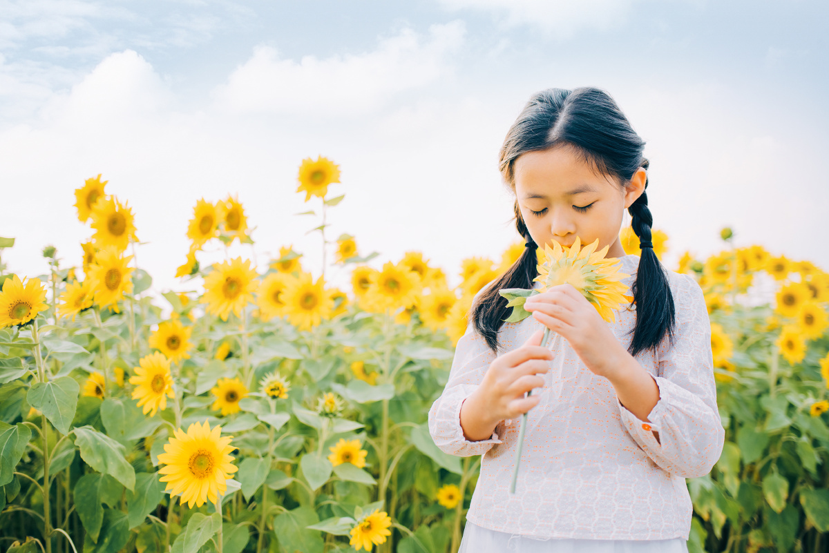 向日葵女孩儿