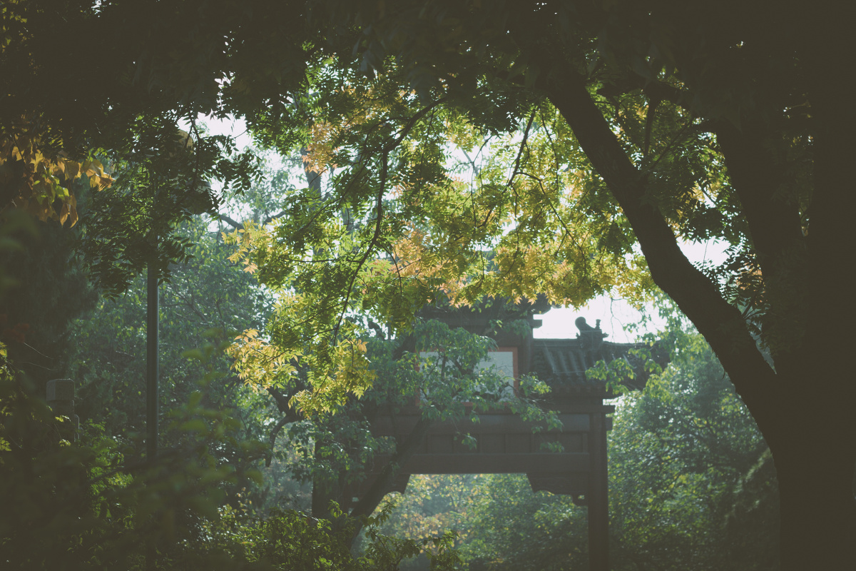 11月中去黄鹤楼,用到复古绿色的滤镜修片.